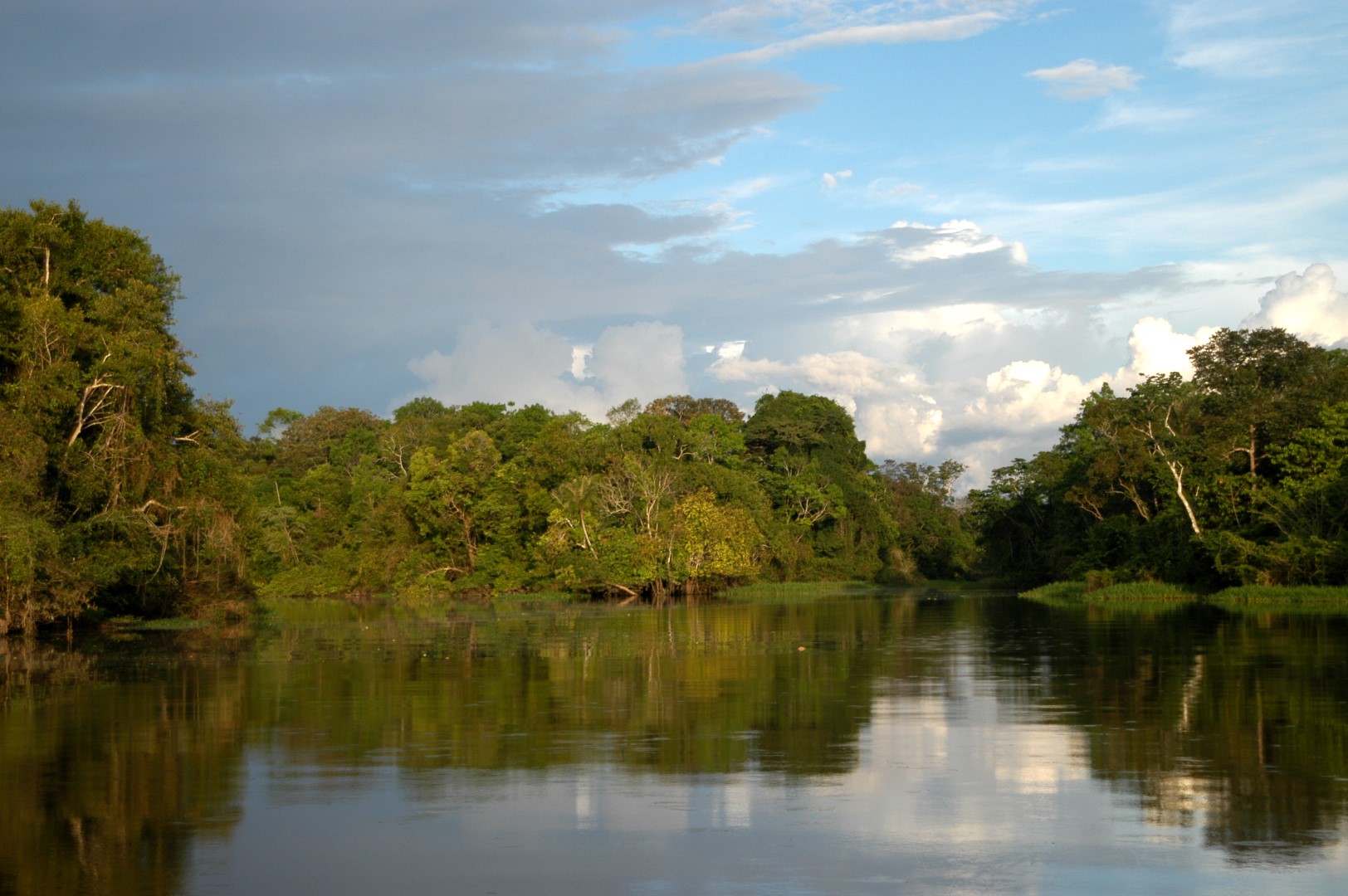 Amazon River  Trips Amazon River  Amazon Lodge Iquitos  Amazon River Tour  Amazon River 